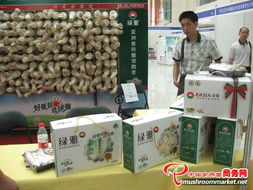 智能制造新紀(jì)元 歷屆工廠化會(huì)展特裝展位的技術(shù)咨詢與實(shí)踐